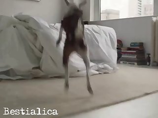 Daisy Keech Naked Ass