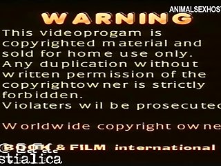 Porn Tube Dogs