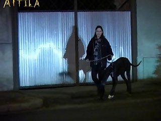 Porn Star Animal Sex