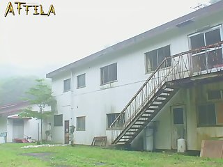 Film Animal Sex