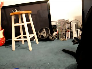 Animal Sex Videoes