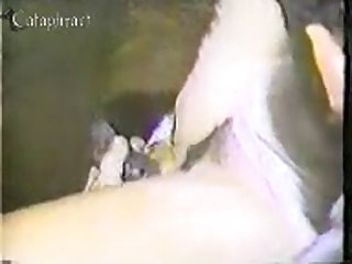 Rashmika Mandanna Animal Movie Porn