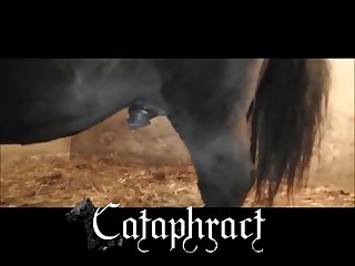 Animal And Girl Porn