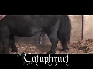 Animal And Girl Porn