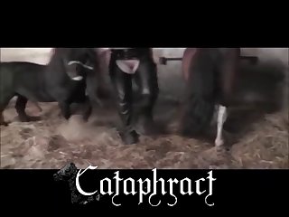 Animal And Girl Porn