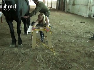 Animal Porn Game