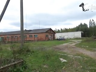 Animal Pig Porn