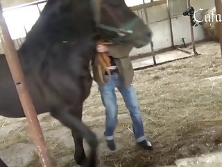 Animal Pig Porn