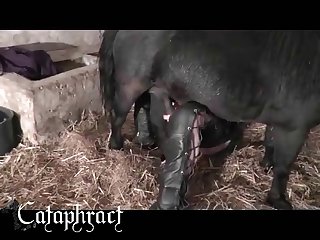Man Animal Porn