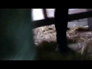 Porn Animal Man