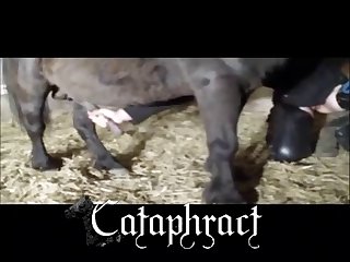 Animal Porn Real