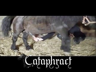 Animal Porn Real
