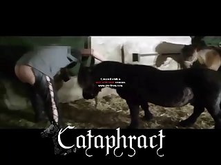 Is Animal Porn Legal