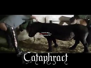 Is Animal Porn Legal