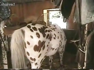Animal Cosplay Porn