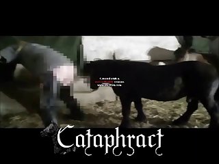 Is Animal Porn Legal
