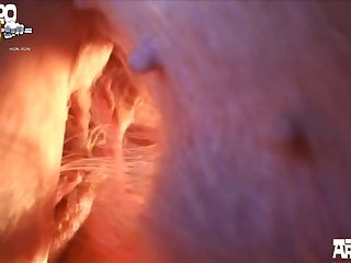 Animal Sex Porn