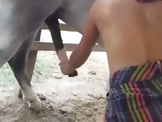 Animal Sex Man Porn