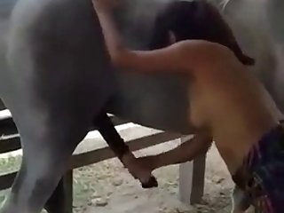 Animal Sex Man Porn