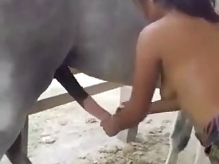 Animal Sex Man Porn