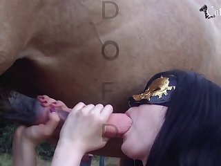 Man With Animal Porn Videos