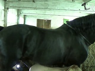 Animal And Man Porn Videos
