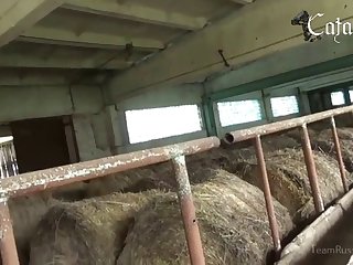 Breastfeed Animal Porn