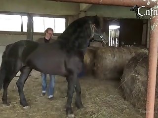 Breastfeed Animal Porn