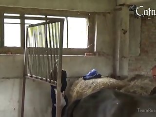 Breastfeed Animal Porn
