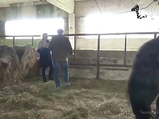 Breastfeed Animal Porn