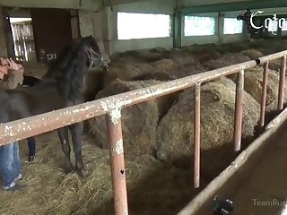 Breastfeed Animal Porn
