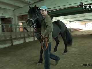 Anime Animal Porn