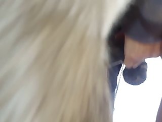 Animal With Man Porn