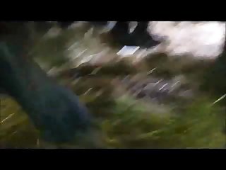 Animal Sex Porn Videos