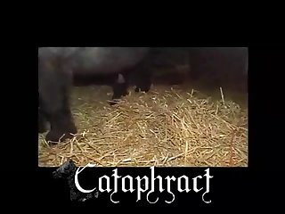 Free Animal Porn