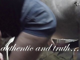 Gay Animal Porn