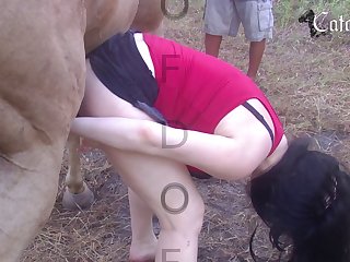 Man Sex With Animal Porn