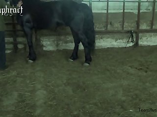 Animal Scat Porn