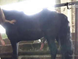 Female Animal Porn