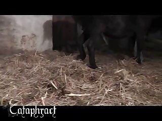 Animal Comic Porn