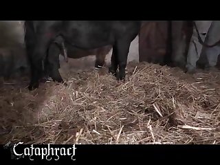 Animal Comic Porn