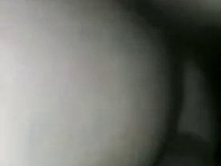 Animal Futa Porn