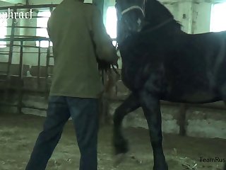 Human And Animal Porn