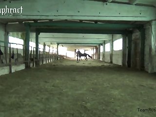 Human And Animal Porn