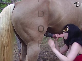 Animal And Human Porn