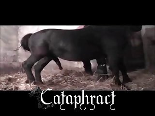 Animal Mating Porn