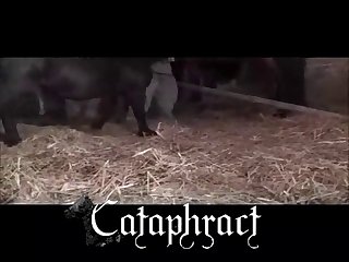 Animal Mating Porn