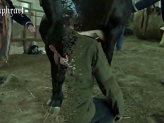 What Is Animal Porn