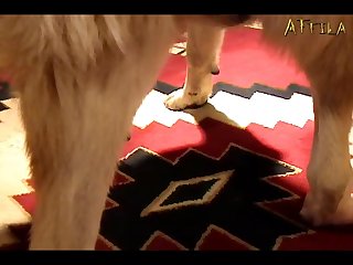 Bot Telegram Zoofilia