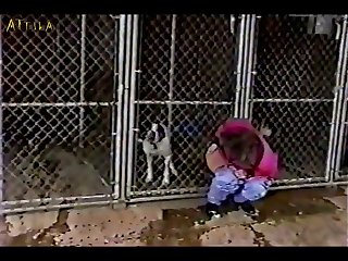 Esta Prohibido Ver Zoofilia